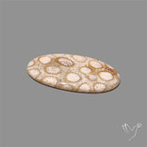 Fossil Coral Cabochon