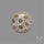 Fossil Coral Cabochon