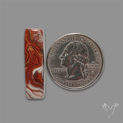 Crazylace Agate Cabochon