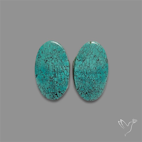 Hubei Turquoise Pair