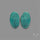 Hubei Turquoise Pair