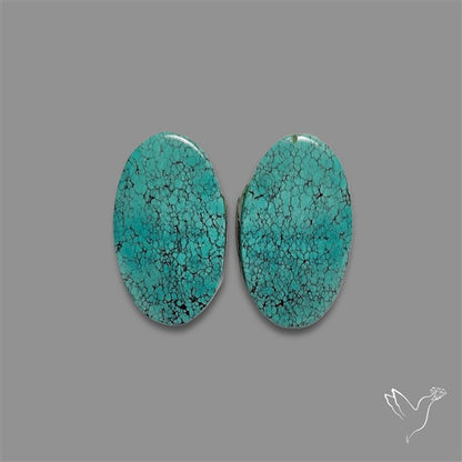 Hubei Turquoise Pair