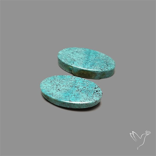 Hubei Turquoise Pair