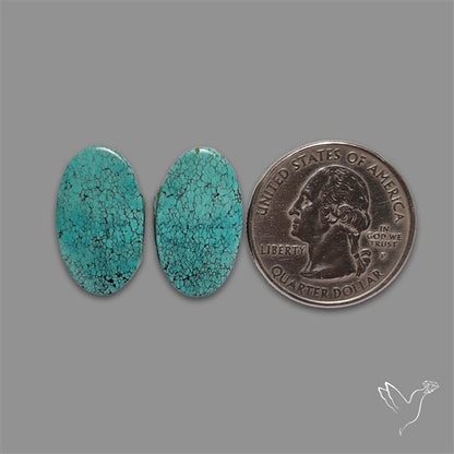 Hubei Turquoise Pair