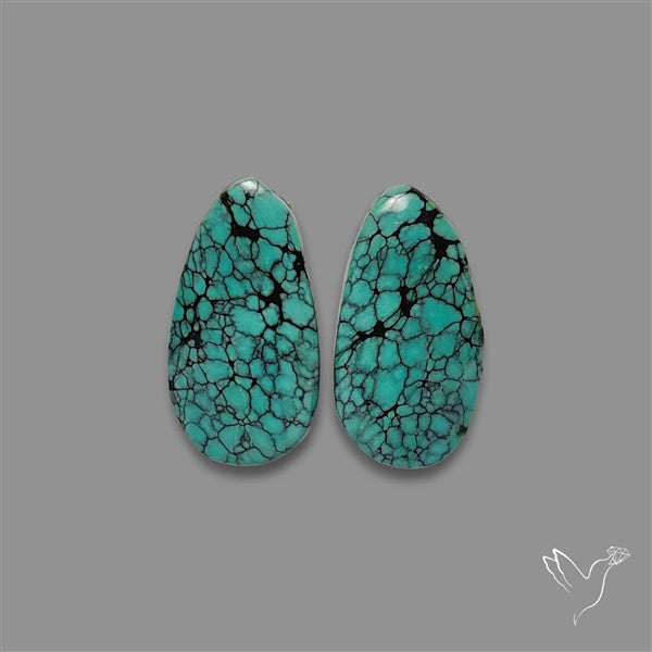 Hubei Turquoise Pair