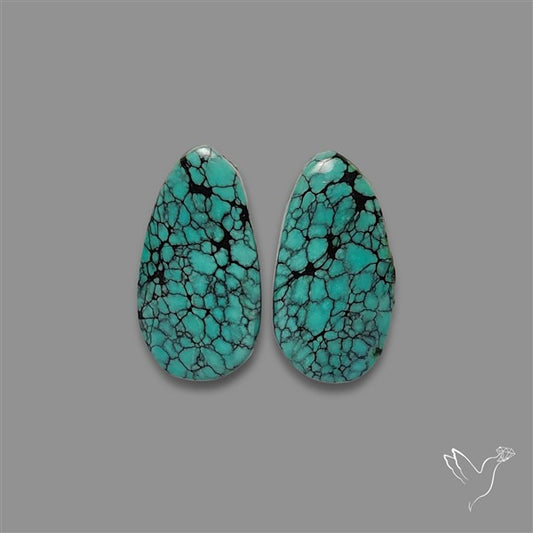 Hubei Turquoise Pair