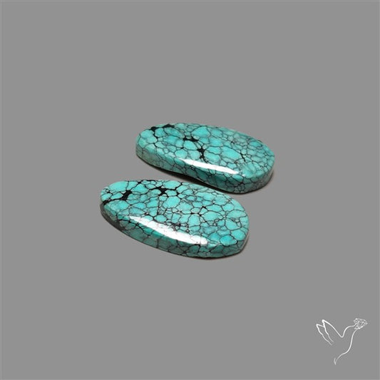 Hubei Turquoise Pair
