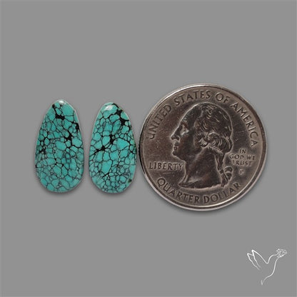 Hubei Turquoise Pair