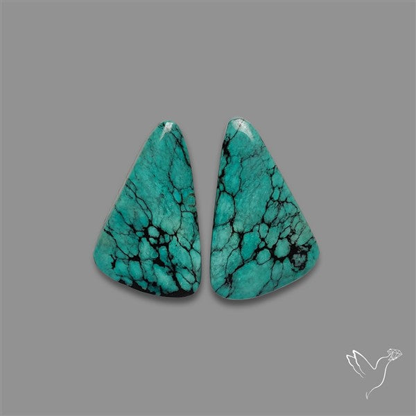 Hubei Turquoise Pair