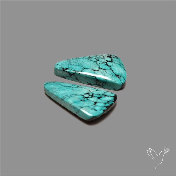 Hubei Turquoise Pair