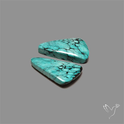 Hubei Turquoise Pair