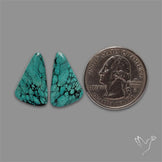 Hubei Turquoise Pair