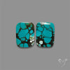 Hubei Turquoise Pair