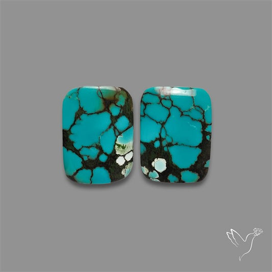 Hubei Turquoise Pair
