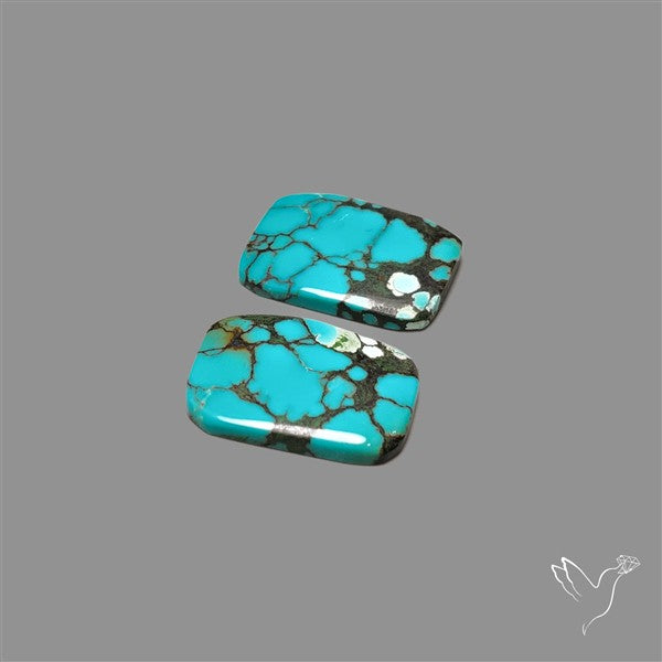 Hubei Turquoise Pair