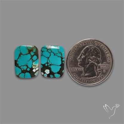 Hubei Turquoise Pair