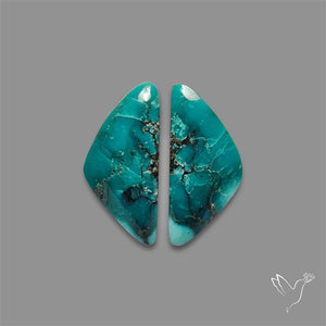 Hubei Turquoise Pair