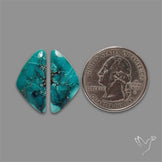 Hubei Turquoise Pair