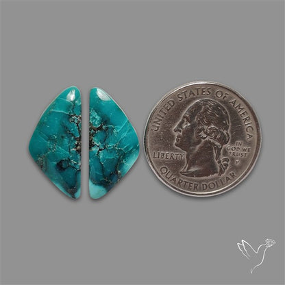 Hubei Turquoise Pair