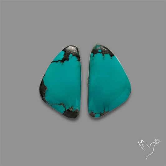 Hubei Turquoise Pair