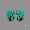 Hubei Turquoise Pair