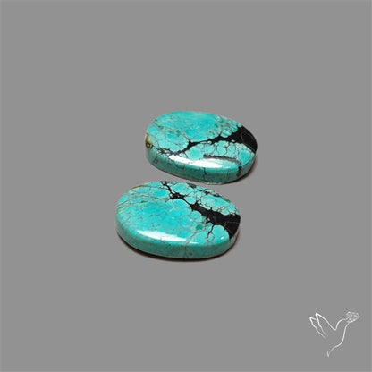 Hubei Turquoise Pair