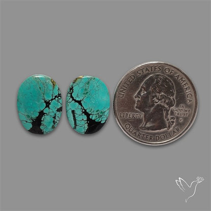 Hubei Turquoise Pair