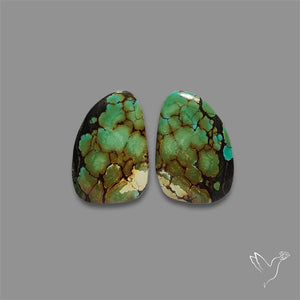 Hubei Turquoise Pair