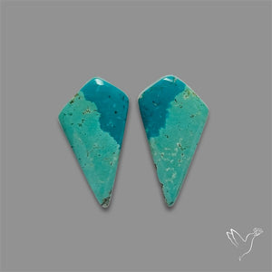 Hubei Turquoise Pair