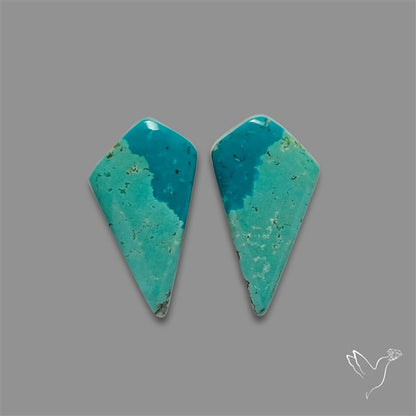 Hubei Turquoise Pair
