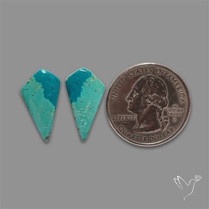 Hubei Turquoise Pair