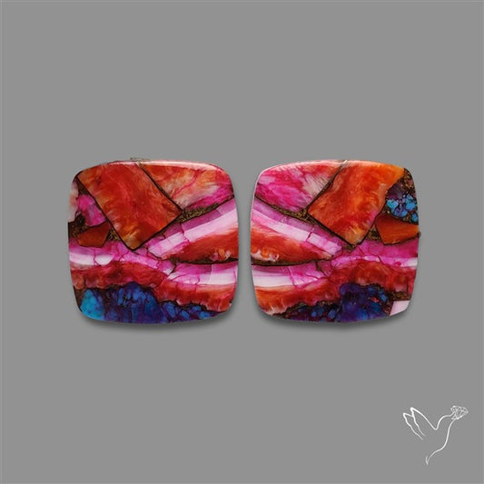 Spiny Oyster Mohave Turquoise Pair