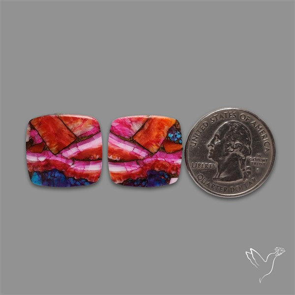 Spiny Oyster Mohave Turquoise Pair