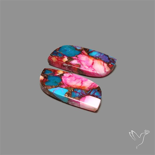 Spiny Oyster Mohave Turquoise Pair