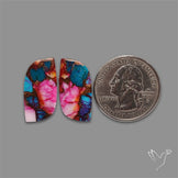 Spiny Oyster Mohave Turquoise Pair