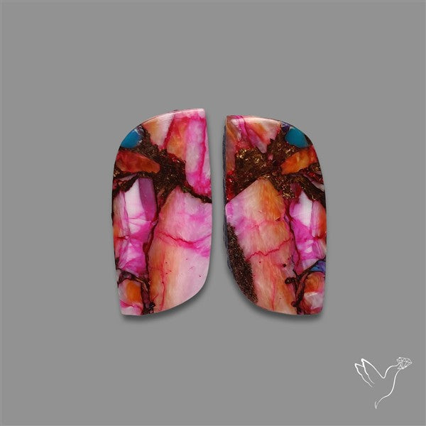 Spiny Oyster Mohave Turquoise Pair