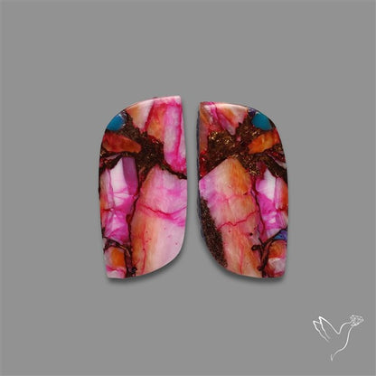 Spiny Oyster Mohave Turquoise Pair