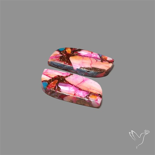 Spiny Oyster Mohave Turquoise Pair