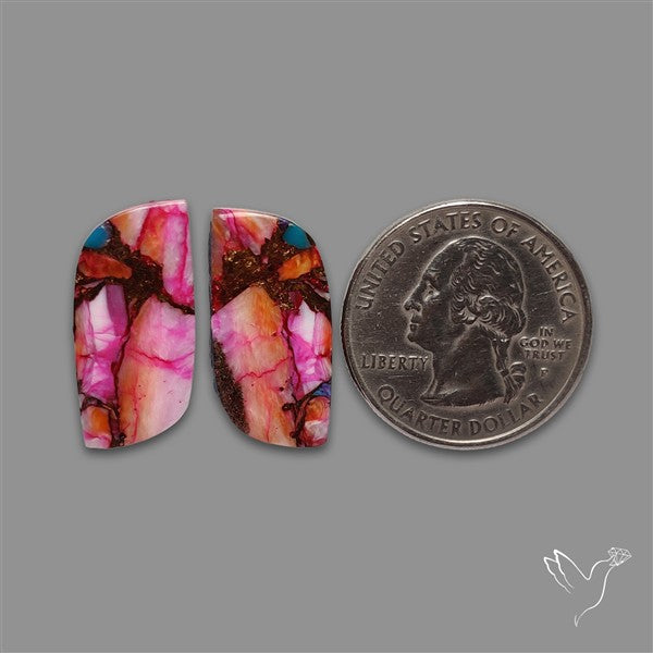 Spiny Oyster Mohave Turquoise Pair