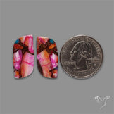 Spiny Oyster Mohave Turquoise Pair