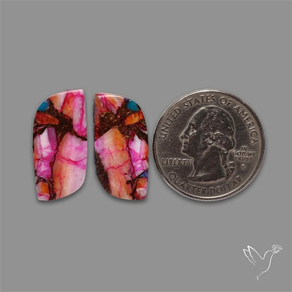 Spiny Oyster Mohave Turquoise Pair