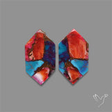 Spiny Oyster Mohave Turquoise Pair