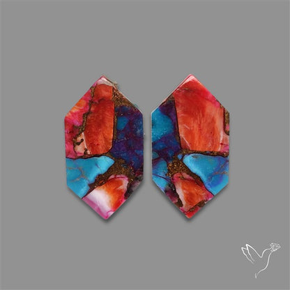 Spiny Oyster Mohave Turquoise Pair