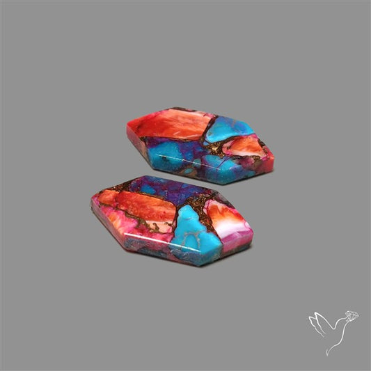 Spiny Oyster Mohave Turquoise Pair