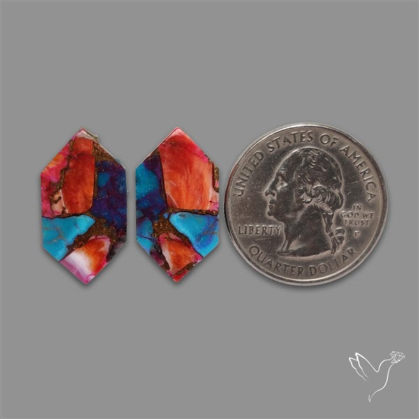 Spiny Oyster Mohave Turquoise Pair