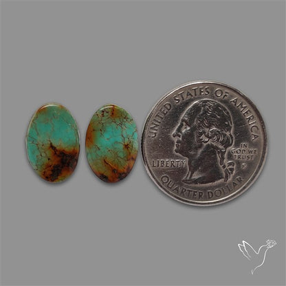Royston Turquoise Pair