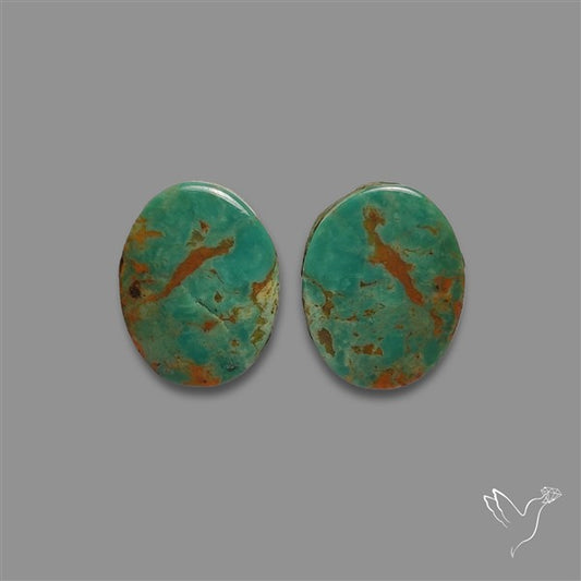 Royston Turquoise Pair