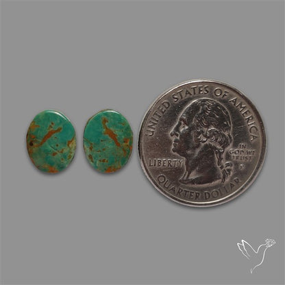 Royston Turquoise Pair