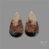 Indonesian Palmroot Agate Pair