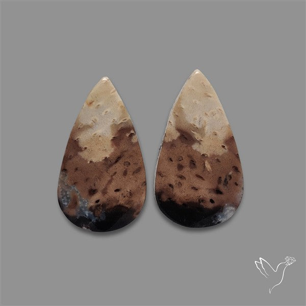 Indonesian Palmroot Agate Pair